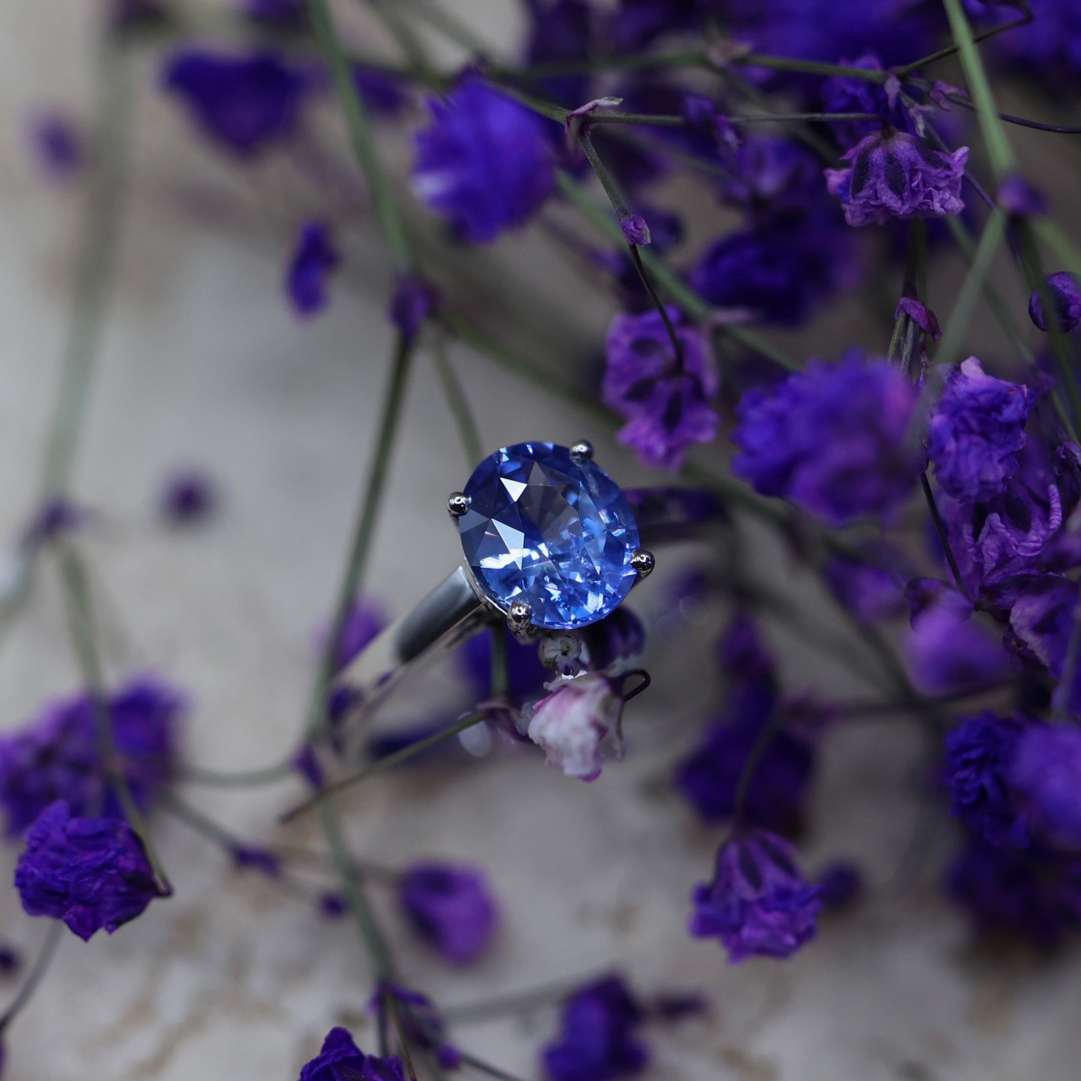 The Cornflower Solitaire | 2Ct Unheated Ceylon Blue Sapphire Ring